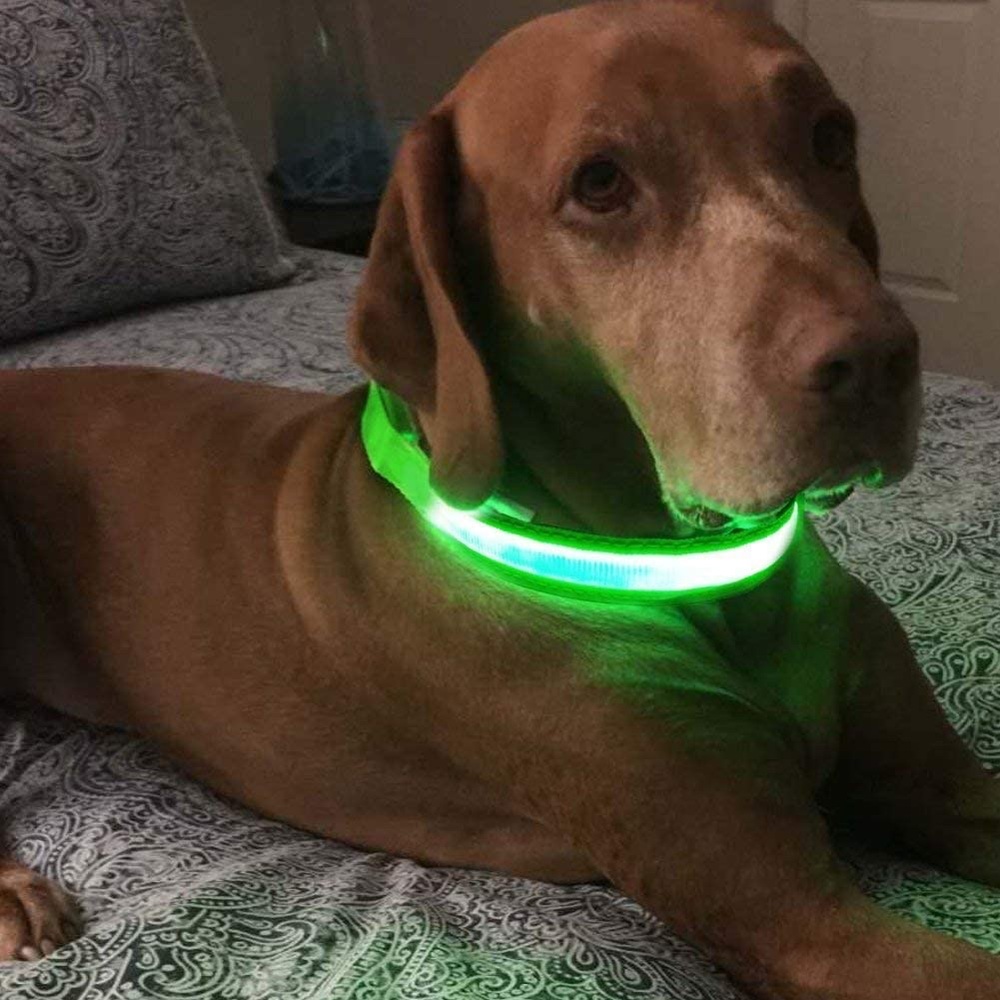 🆕LED Dog Colar - Picture 10 of 10